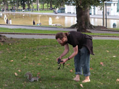 Attack squirrel