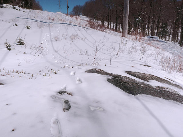 Nobody else around, just my tracks