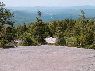 View to the south