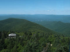 View northeast from tower