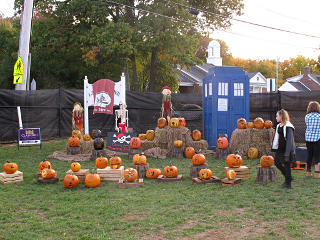 Pumpkin patch