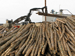 log handling machines