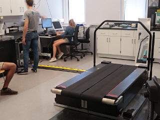 Lab with the famous instrumented treadmill