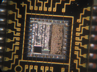 One of the clear-encased chips inside