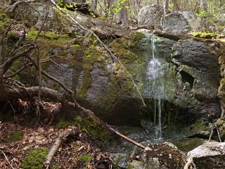 Small waterfall hidden in the woods