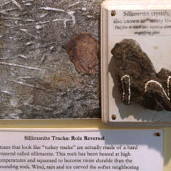 Granite worms, turkey tracks
