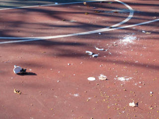 Lamp smashed in basketball court