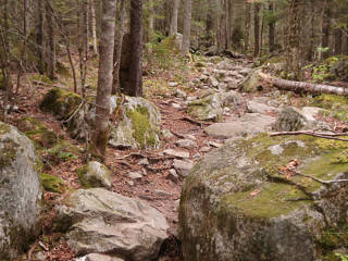 Plenty of rocks early on the trail