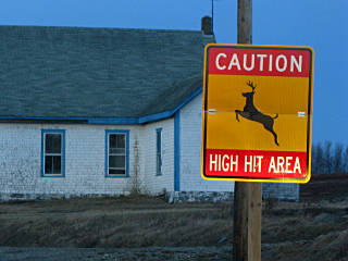 deer warnings