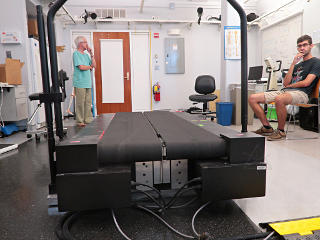 Treadmill sensor connections