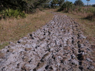 Roto-tilled trail
