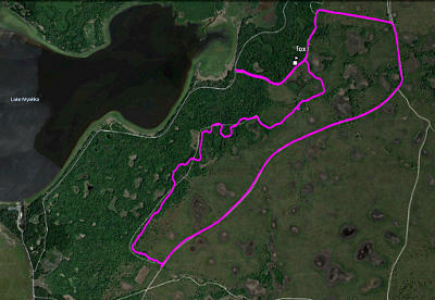 GPS track from Myakka loop