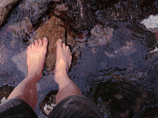Cooling feet in the stream