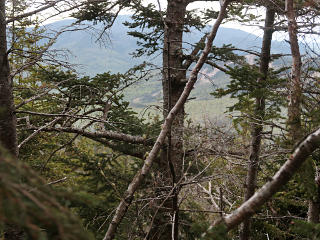 Glimpse of Waterville Valley through trees
